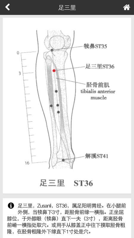 中医全科专家系统4