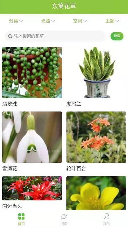 东篱花草