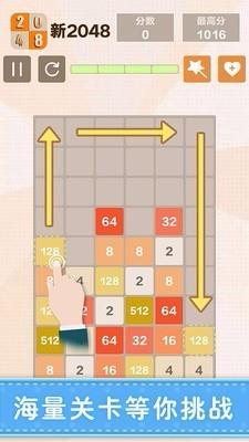 新20484