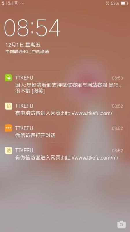 ttkefu网站在线客服系统4