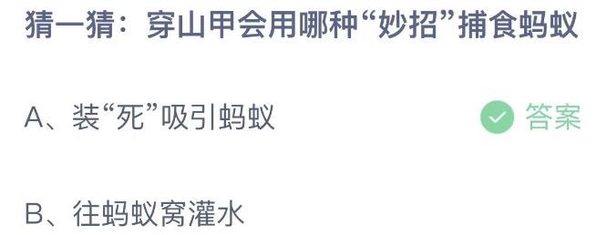 猜一猜穿山甲会用哪种妙招捕食蚂蚁 今日蚂蚁庄园3月4日答案