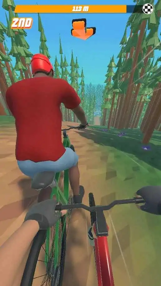 自行车山地赛3D3