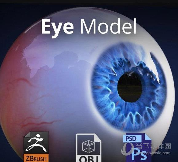 3D Eye Model