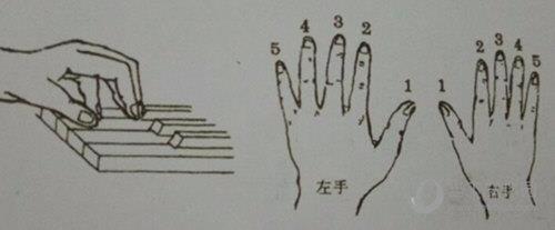 顺风雷电子琴