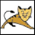 Apache Tomcat V5.5.17 官方版