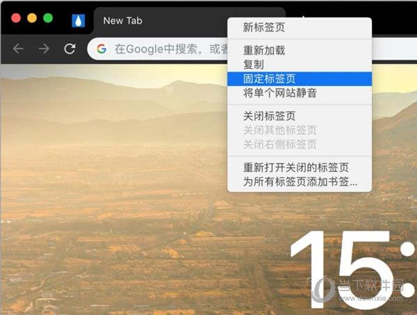 Save Pinned Tabs(标签保存插件) V1.0.5 免费版