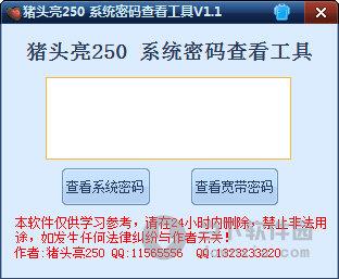 猪头亮250系统密码查看工具 V1.1 绿色免费版
