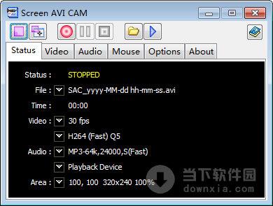 Screen AVI CAM(avi录屏软件) V4.7 绿色版