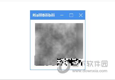 RialllBilibili