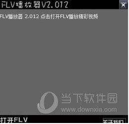 淡定FLV播放器 V1.01 简体中文绿色免费版