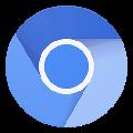 Chromium32位 V98.0.4757.0 官方中文版