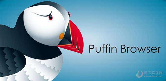 Puffin浏览器破解版 V2020 最新免费版