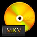 iCoolsoft DVD to MKV Converter(DVD到MKV转换器) V5.0.6 官方版