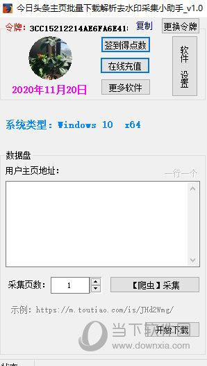 今日头条主页批量下载解析去水印采集小助手