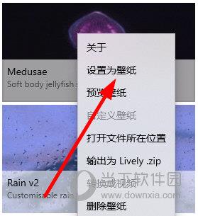 选择“设置为壁纸”选项