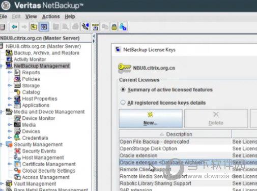 Veritas NetBackup10破解版