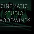 Cinematic Studio Woodwinds(影视木管) V1.3 最新免费版