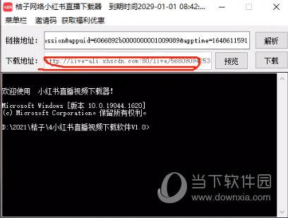 桔子网络小红书直播下载器电脑版 V1.1 官方版