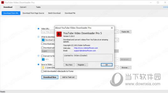 YouTube Video Downloader Pro