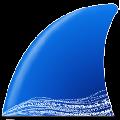 Wireshark 