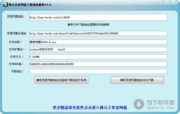 博元百度网盘下载地址解析工具 V4.0 绿色版