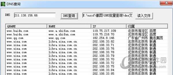 dns查询软件下载