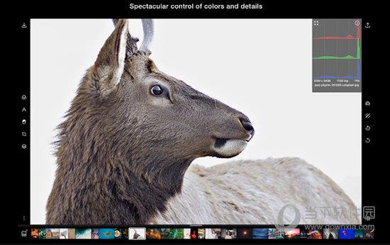 Polarr Photo Editor Extension(Polarr照片编辑器插件) V5.0.2 Chrome版