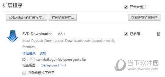 FVD Downloader Chrome插件下载