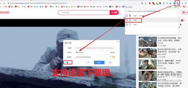 Best Video Download插件 V1.0 最新免费版