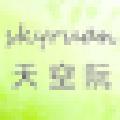 skyruanboy(网络扫描工具) V1.0 绿色免费版