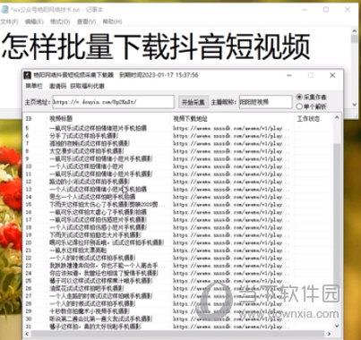 艳阳网络抖音短视频采集下载器 V6.6 官方最新版