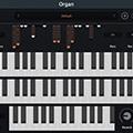 Organ(拉杆风琴音源插件) V1.0 绿色免费版