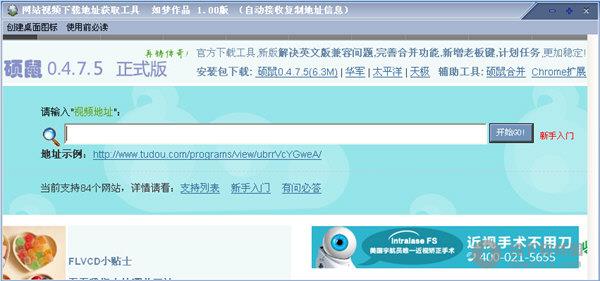 网站视频下载地址获取工具 V1.00 绿色免费版
