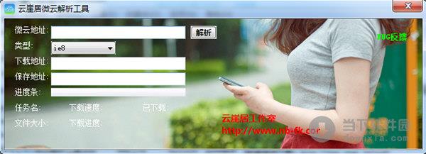 云崖居微云解析工具 V1.0 绿色版