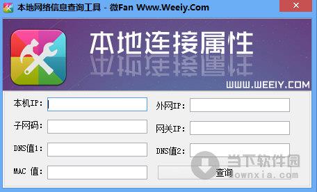 本地网络信息IP查询工具 V1.0 绿色最新版