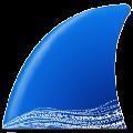 wireshark3.4中文版 V3.4.8 绿色破解版