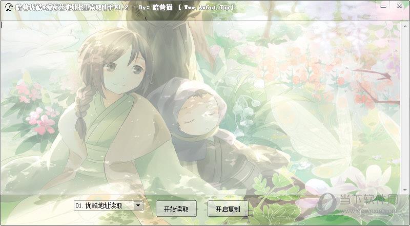 暗巷优酷爱奇艺地址批量读取助手 V1.2 绿色版