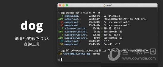 dog(pingdns查询工具) V0.1.0 官方版