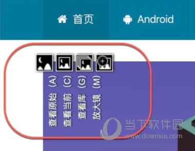 Picviewer CE+(在线看图插件) V2020.2.2.1 官方版