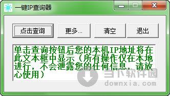 一键IP查询器 V1.0 绿色免费版