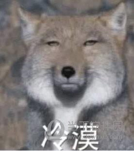 藏狐表情包 +12 免费版
