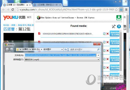 flash video downloader chrome插件