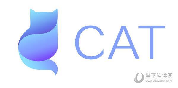 CAT实时应用监控平台 V3.1.0 开源版