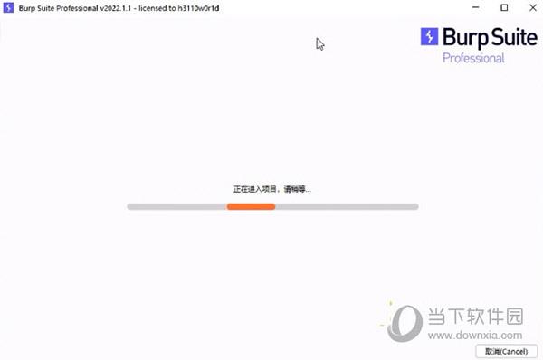 Burp Suite2022中文破解版 V2022.3.6 免费版
