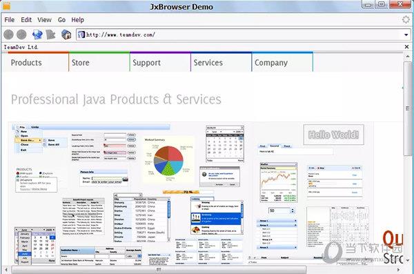 JxBrowser(Java浏览器控件) V6.21 官方版