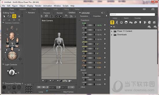 Poser Pro 12