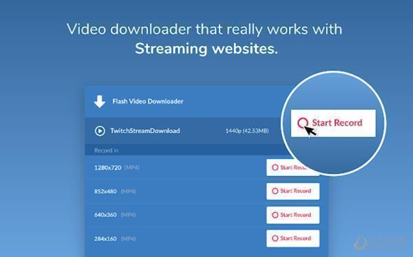 Flash Video Downloader Pro