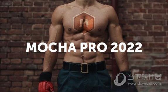 Mocha Pro 2022插件版