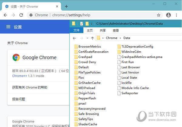 Google Chrome V88.0 增强版