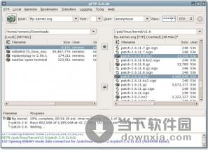 gFTP V2.0.19 Linux 英文官方安装版